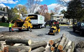 Best Tree Mulching  in Lake Meade, PA